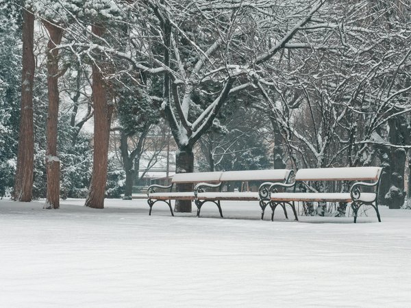 Huile de batana : le secret pour cheveux et peau radieux